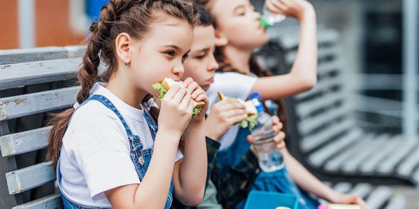 Bocadillos con embutidos ecológicos, una opción saludable y ecológica